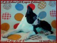 /album/fotogalerie/lex-lezi2011-jpg/